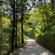 キャンプの画像