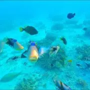 ☆Koujun☆【断捨離中】の画像