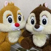 32