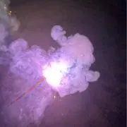 つなの画像