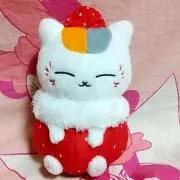 白菜（シロナ）