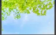 R☆.の画像