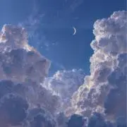 羽の画像