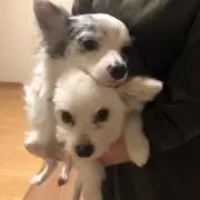 のん(*¨*)