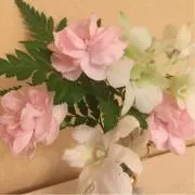 AAA☆