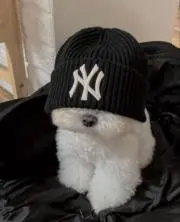 翠
