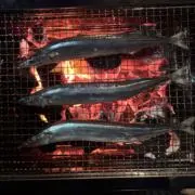 秋刀魚の画像