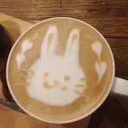 きいの画像