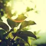 YY^_^の画像