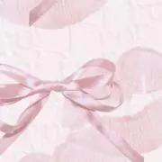 ちゃなの画像