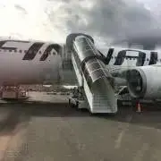 たんたんの画像