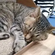 Neco★（プロフィールご確認下さい）