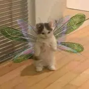 ゆかり