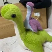 さか