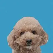 :)