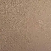 amiii【プロフ必読】の画像
