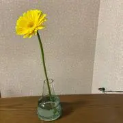 インターホン フォローでお値引きの画像