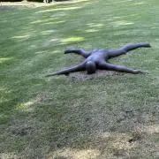 ぬー