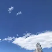 ぽんの画像