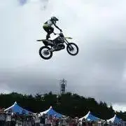 ちーたんの画像