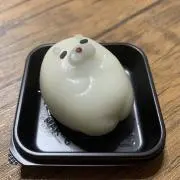 あざらしの画像