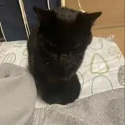 ぴゅあ
