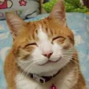 にゃ～こ ★の画像