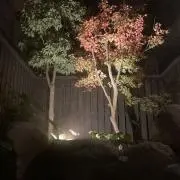 さめの画像
