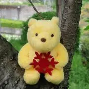 かわさん