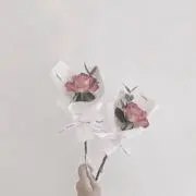 レナの画像