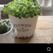 homeの画像