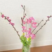 ともの画像