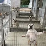 ぶるぶる