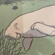 ハピの画像