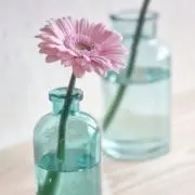 annaの画像