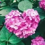 na⭐︎の画像