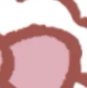 青木滉平まとめ売り(公式写真.フォトセ.ステフォ.アクスタ.プロカ.厚紙