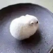 ポテチの画像