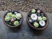 inの画像