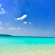 love oceanの画像