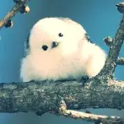 なっとうの画像