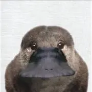 Takaの画像