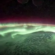 ネッコ