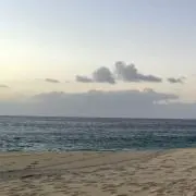 梅ジャム