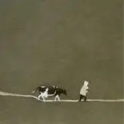 あんぱんの画像
