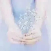 COCOの画像
