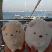 はなこ☆断捨離中の画像