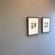 しろの画像