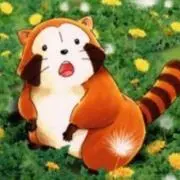 RSの画像