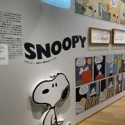 こっしー518